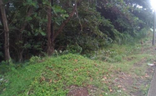 Land in Marigot